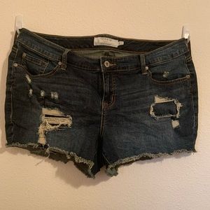 Torrid distressed shorts